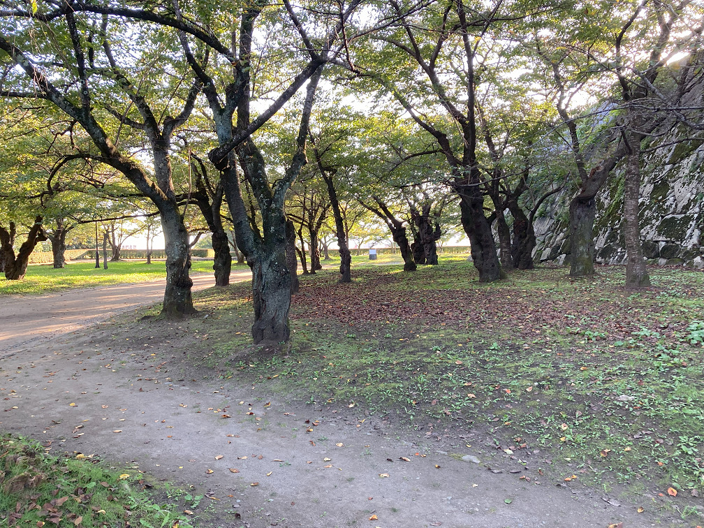 盛岡城跡公園（石垣）